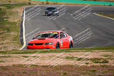 media/Feb-25-2024-Speed Ventures (Sun) [[b9a2a97a4d]]/Mustang Drivers Club/Session 3 (Turn 2)/